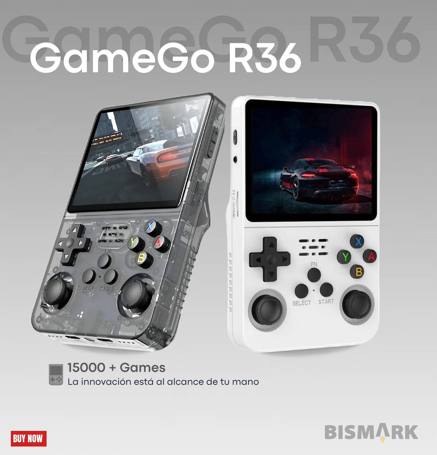 GameGo R36